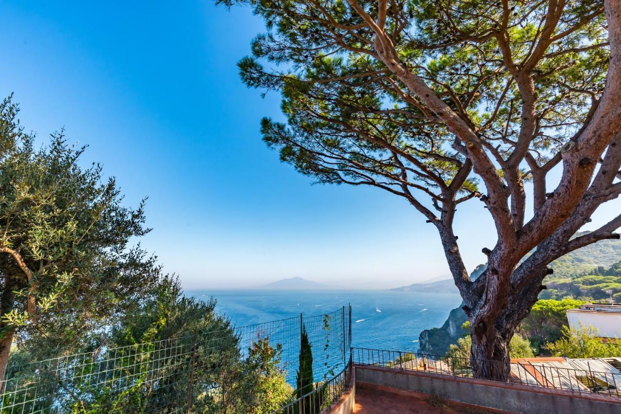 Capri Turquoise By Napoliapartments Екстериор снимка